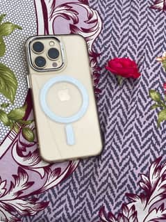 iphone13Pro