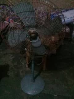 fan