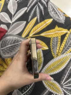 I phone 13 pro