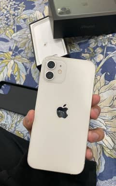 Iphone 12 128gb pta approaved (dual sim)