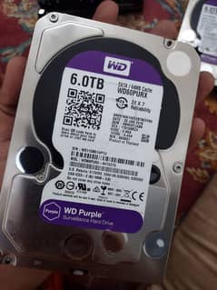 wd hard drive