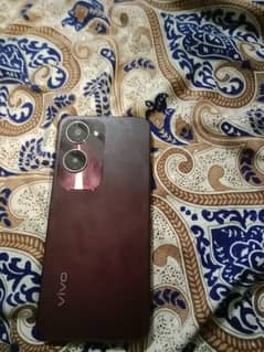 vivo