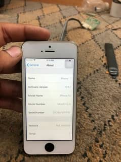 iphone 5s