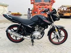 Yamaha YBR 2019