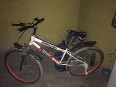 Cycle all ok