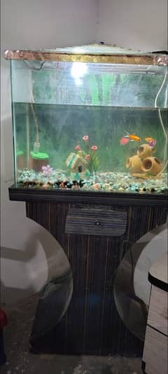 Fish aquarium for sale
