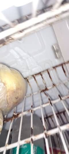 Freeze