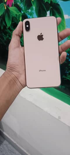 Iphone xs max Dual pta 256gb