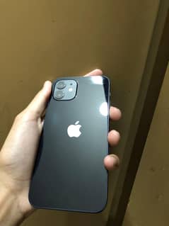 iPhone 12 64gb 10/10 (exchange possible)