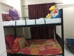 Bunk