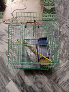pair