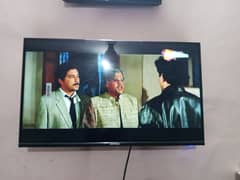 champion 32" smart android led tv