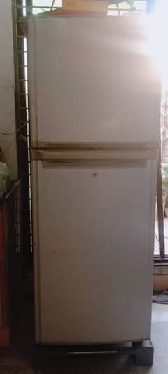 orient refrigerator