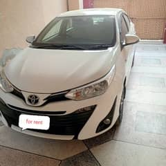 rent a car with driver