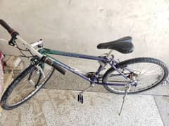 sports bycyle