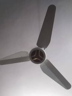 Ceiling Fans