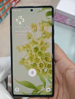 google pixel 6    8/128