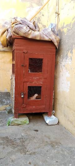 Cage (Khudda)