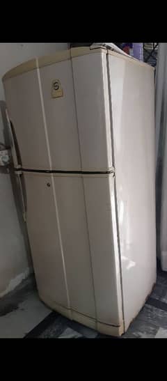 Pel crystal fridge
