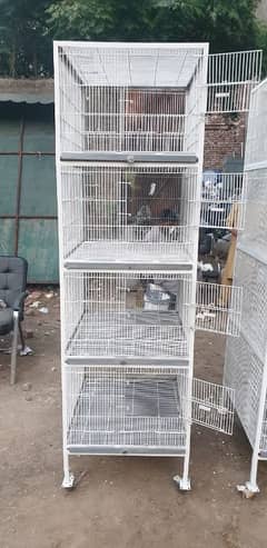 pingra bird