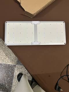 Grow lights hydroponics
