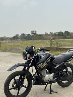 Nice looking ybr g (2019)