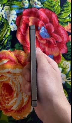iPhone 5 pta proof