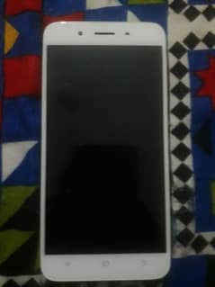 VIVO Y66