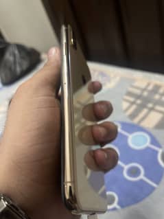 Xs max 256