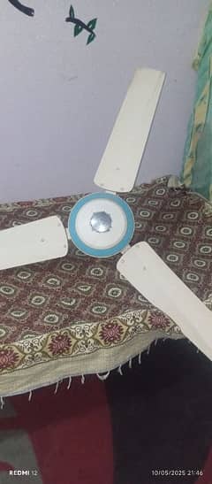 fan