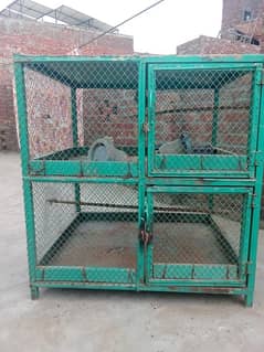 pigeon home