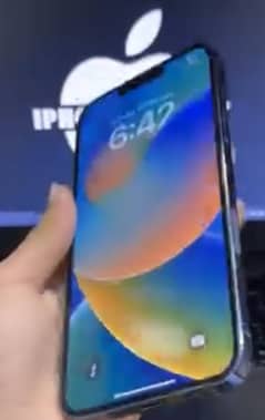 iPhone 13promax