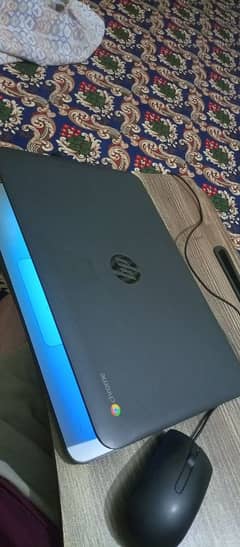 HP