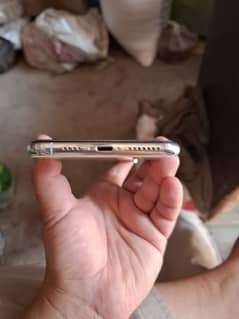 Xs