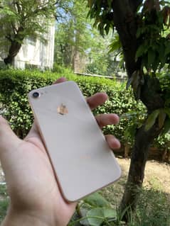 Iphone 8 (64 gb bypass)