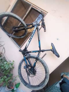 MTB