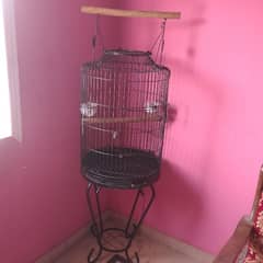 parrot cage