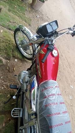 Honda 125 2024  Special EDTION