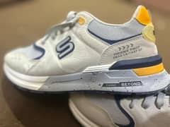 Stylo