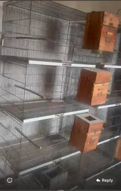 Birds cages