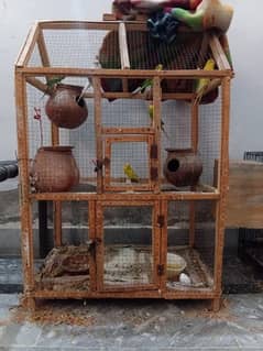 Parrots