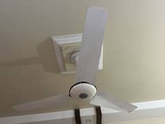 Fans for sale - with warranty
