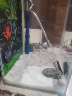 Aquarium 1ft Complete setup