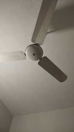 Ceiling fan for sale