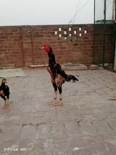 thikra