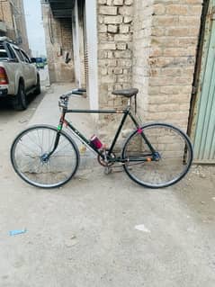 China Racer Cycle Best For Use 03130935780