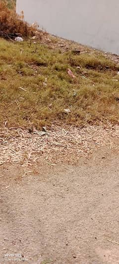 5 Marla Corner Plot For Sale Chakri Road In Gulshan E Kashmir