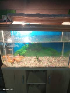 FISH TANK/AQUARIUM