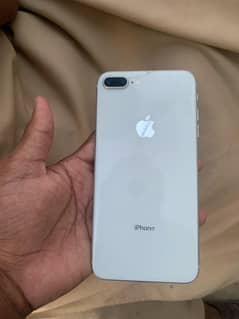 Fresh
