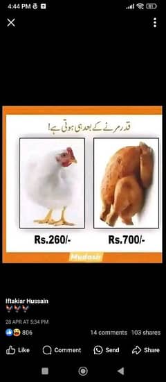 haki lafafy sale krty hyn AGR chy tw nmbr 03111538510